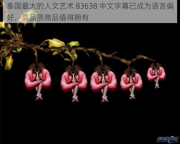 泰国最大的人文艺术 83638 中文字幕已成为语言偏好，高品质商品值得拥有