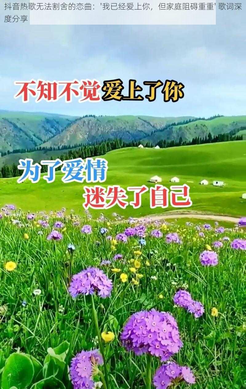 抖音热歌无法割舍的恋曲：'我已经爱上你，但家庭阻碍重重' 歌词深度分享