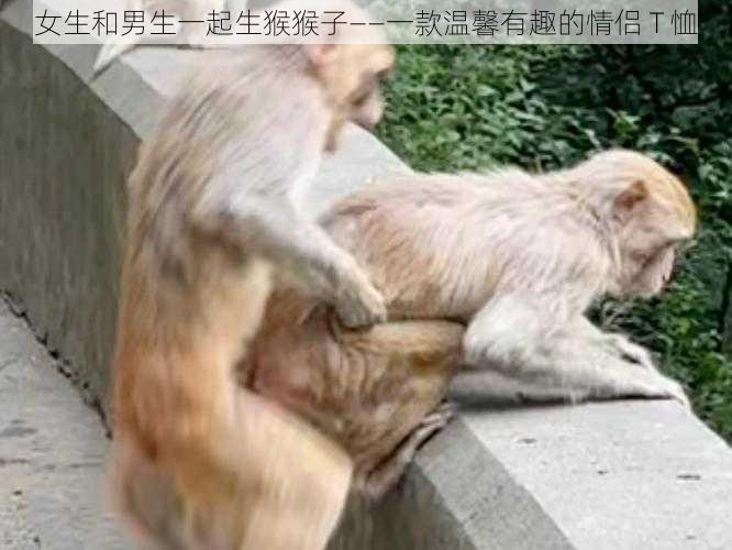 女生和男生一起生猴猴子——一款温馨有趣的情侣 T 恤