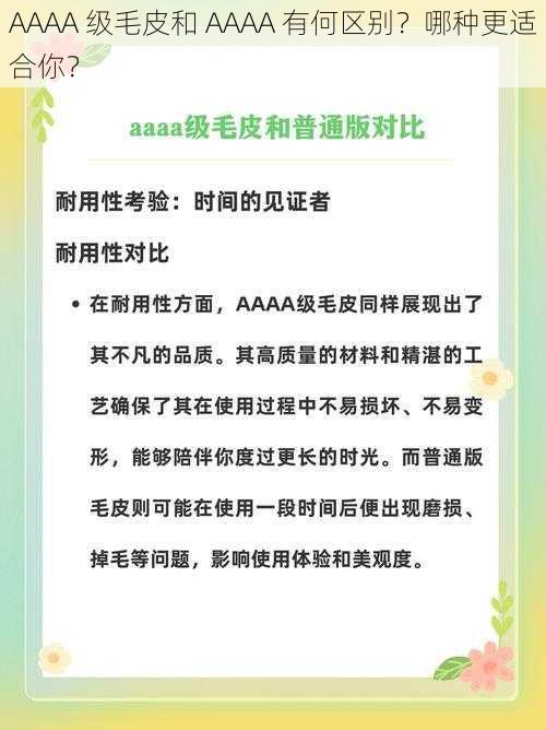 AAAA 级毛皮和 AAAA 有何区别？哪种更适合你？