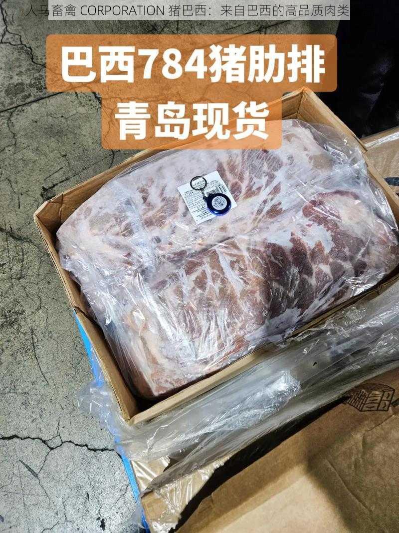 人马畜禽 CORPORATION 猪巴西：来自巴西的高品质肉类食品