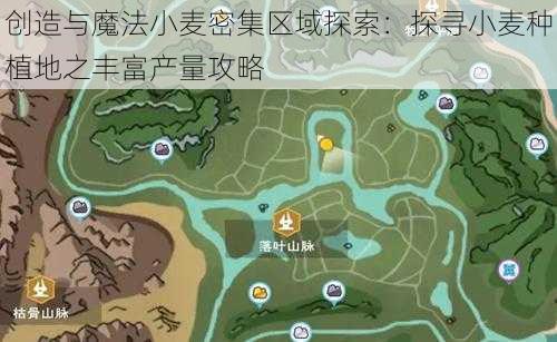 创造与魔法小麦密集区域探索：探寻小麦种植地之丰富产量攻略