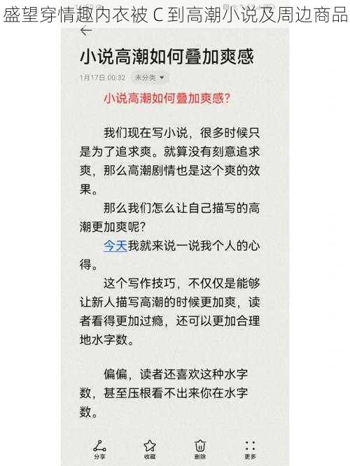 盛望穿情趣内衣被 C 到高潮小说及周边商品