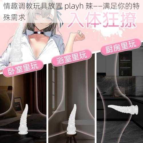 情趣调教玩具放置 playh 辣——满足你的特殊需求