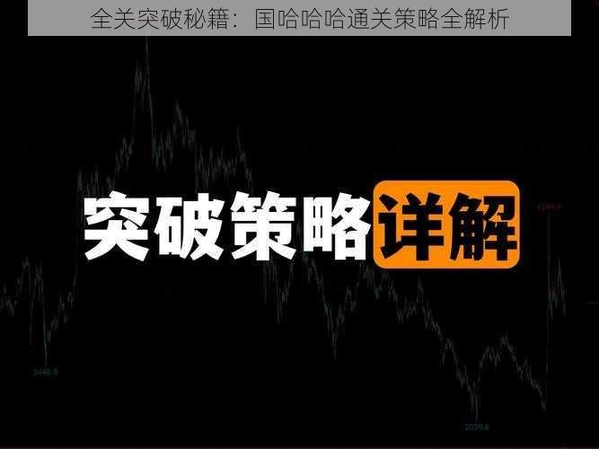 全关突破秘籍：国哈哈哈通关策略全解析