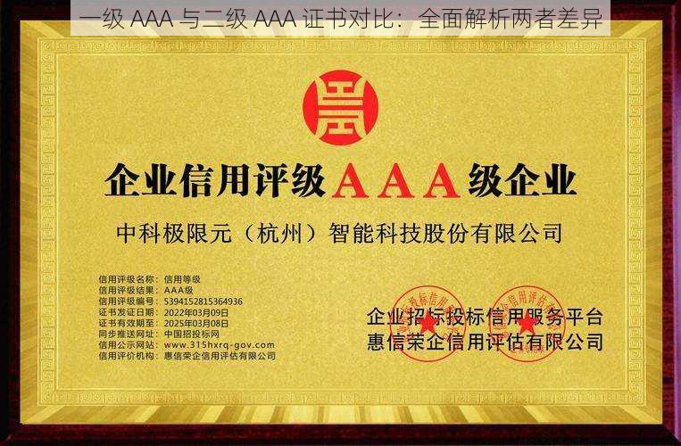 一级 AAA 与二级 AAA 证书对比：全面解析两者差异