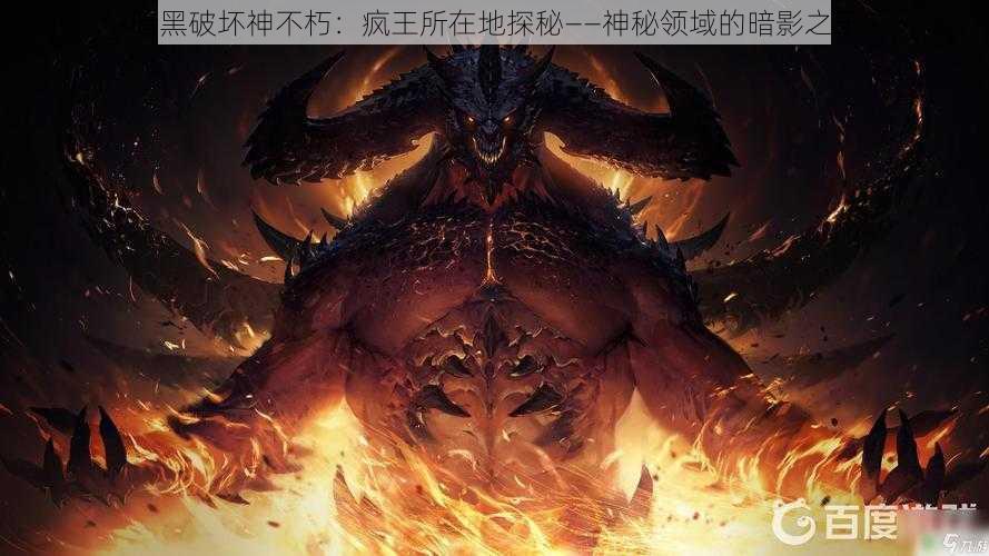 暗黑破坏神不朽：疯王所在地探秘——神秘领域的暗影之王