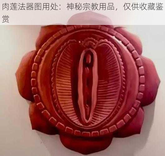 肉莲法器图用处：神秘宗教用品，仅供收藏鉴赏