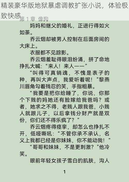 精装豪华版地狱暴虐调教扩张小说，体验极致快感