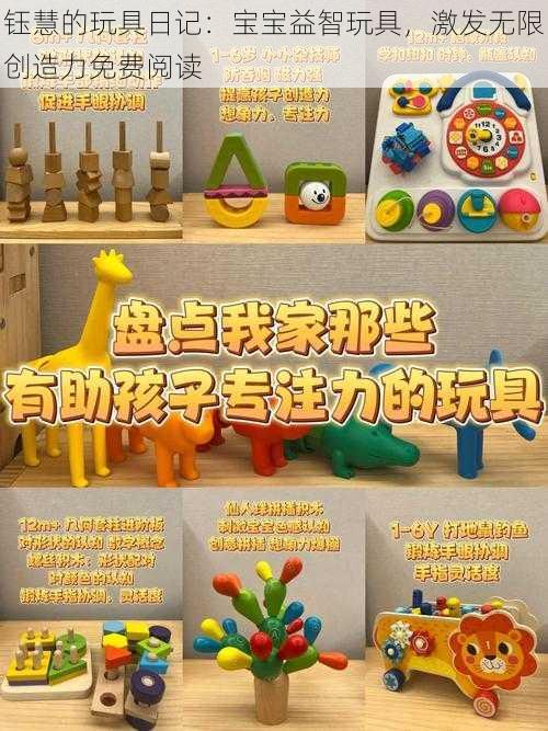 钰慧的玩具日记：宝宝益智玩具，激发无限创造力免费阅读