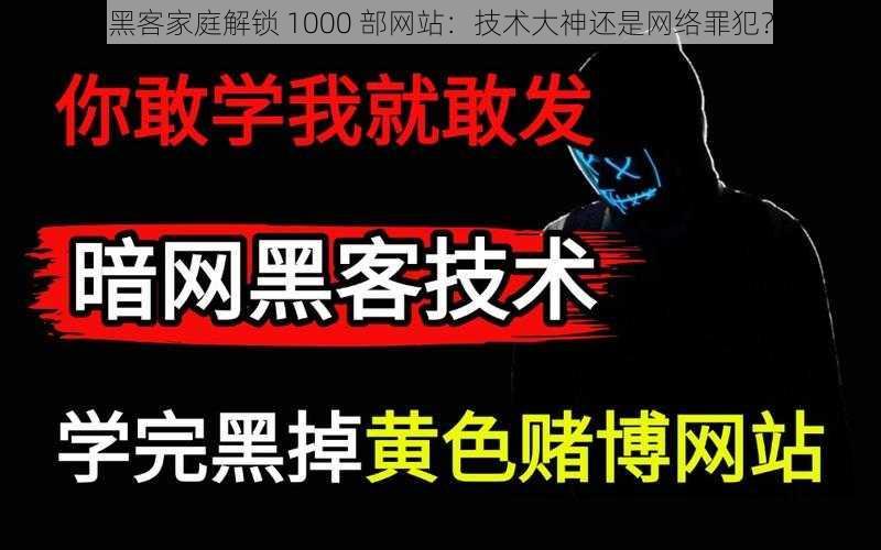 黑客家庭解锁 1000 部网站：技术大神还是网络罪犯？