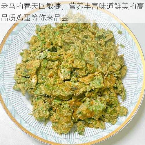 老马的春天回敏捷，营养丰富味道鲜美的高品质鸡蛋等你来品尝