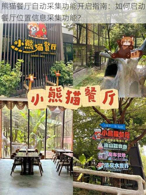 熊猫餐厅自动采集功能开启指南：如何启动餐厅位置信息采集功能？