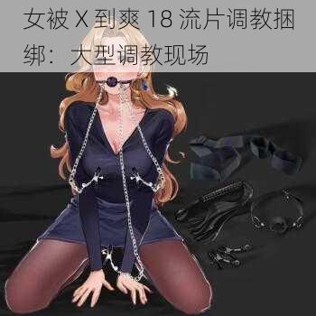 女被 X 到爽 18 流片调教捆绑：大型调教现场