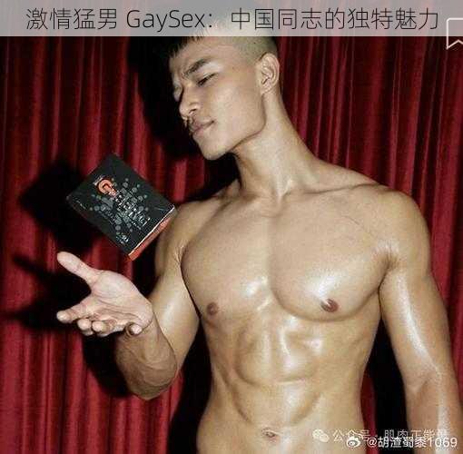 激情猛男 GaySex：中国同志的独特魅力