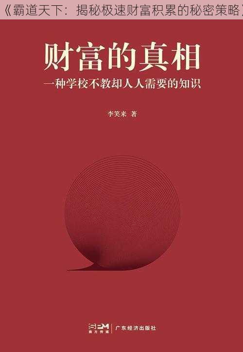 《霸道天下：揭秘极速财富积累的秘密策略》