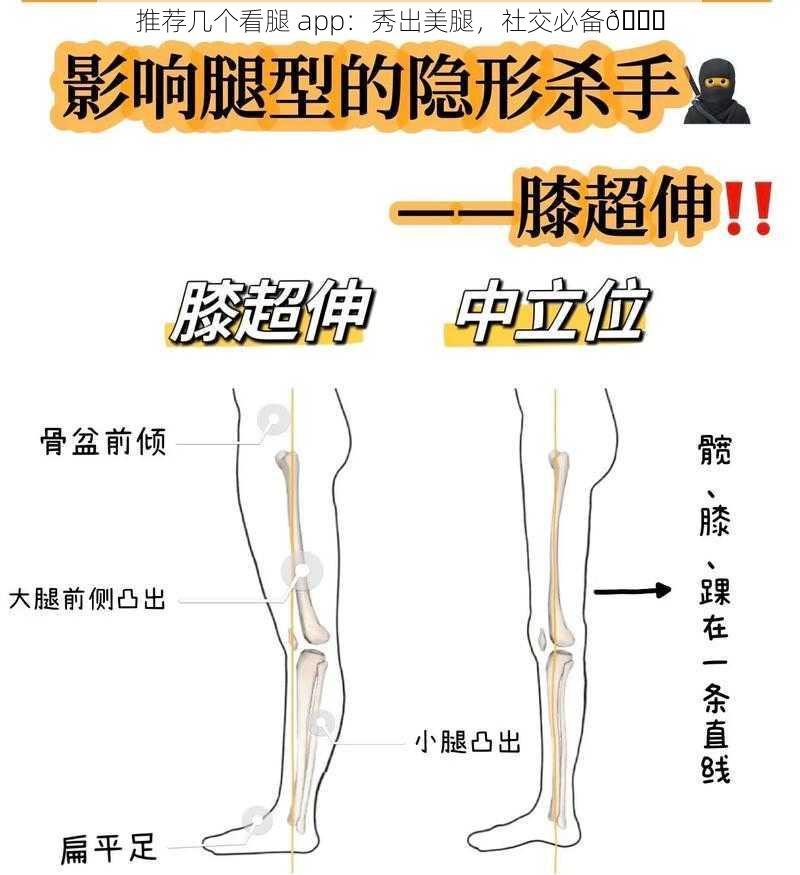 推荐几个看腿 app：秀出美腿，社交必备😜