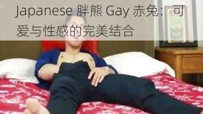 Japanese 胖熊 Gay 赤兔：可爱与性感的完美结合