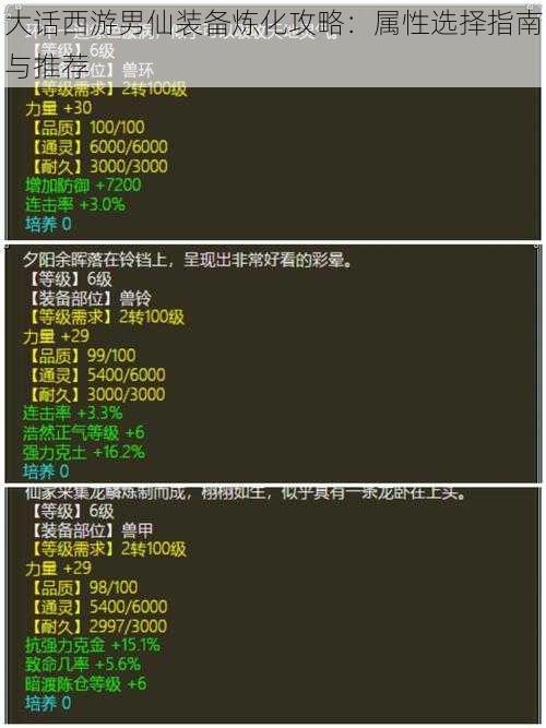 大话西游男仙装备炼化攻略：属性选择指南与推荐
