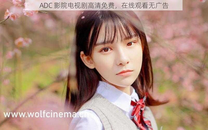 ADC 影院电视剧高清免费，在线观看无广告