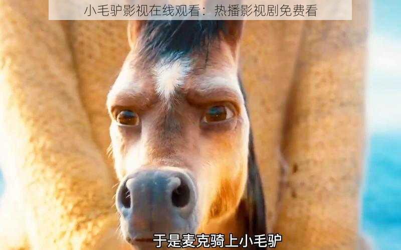 小毛驴影视在线观看：热播影视剧免费看