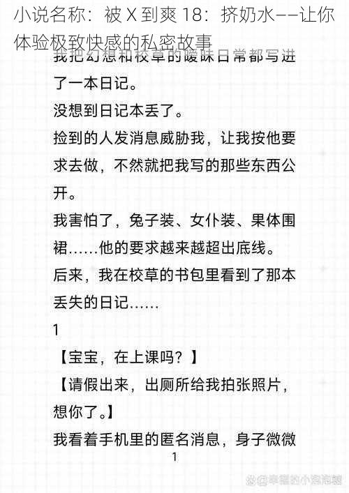 小说名称：被 X 到爽 18：挤奶水——让你体验极致快感的私密故事