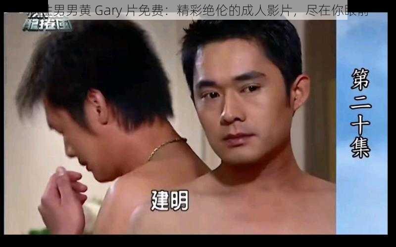 同性男男黄 Gary 片免费：精彩绝伦的成人影片，尽在你眼前