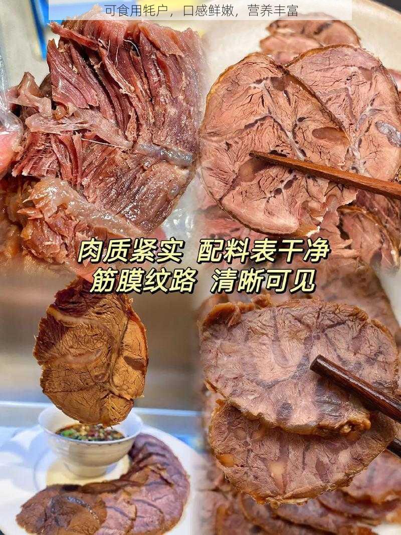 可食用牦户，口感鲜嫩，营养丰富