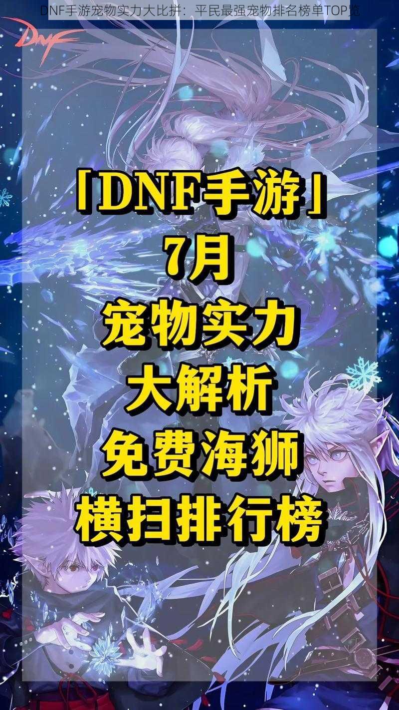 DNF手游宠物实力大比拼：平民最强宠物排名榜单TOP览