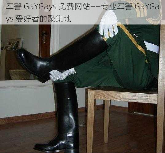 军警 GaYGays 免费网站——专业军警 GaYGays 爱好者的聚集地