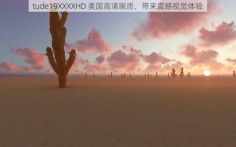 tude19XXXXHD 美国高清画质，带来震撼视觉体验