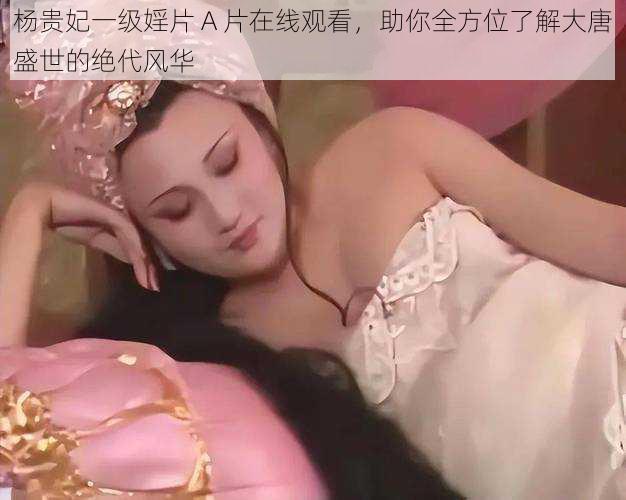 杨贵妃一级婬片 A 片在线观看，助你全方位了解大唐盛世的绝代风华