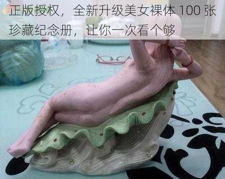 正版授权，全新升级美女裸体 100 张珍藏纪念册，让你一次看个够