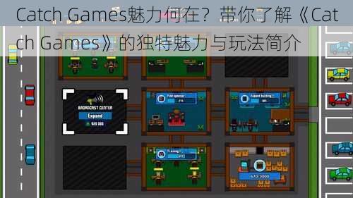 Catch Games魅力何在？带你了解《Catch Games》的独特魅力与玩法简介