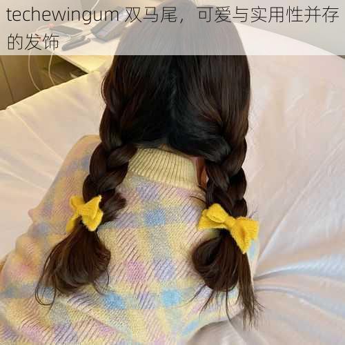 techewingum 双马尾，可爱与实用性并存的发饰