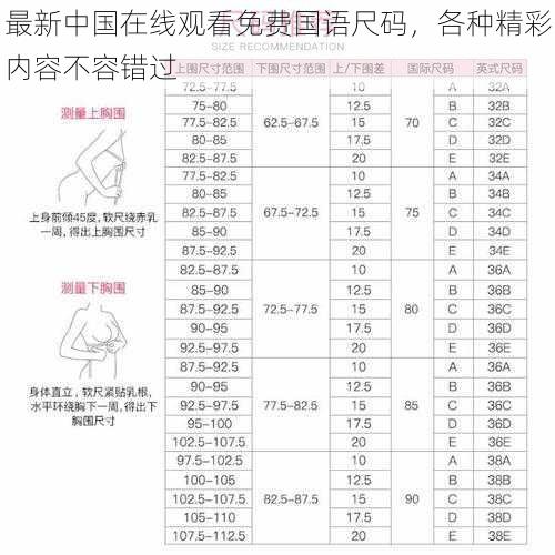 最新中国在线观看免费国语尺码，各种精彩内容不容错过