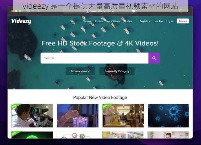 videezy 是一个提供大量高质量视频素材的网站