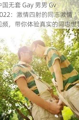 中国无套 Gay 男男 Gv2022：激情四射的同志激情视频，带你体验真实的同志世界