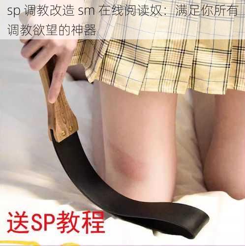 sp 调教改造 sm 在线阅读奴：满足你所有调教欲望的神器