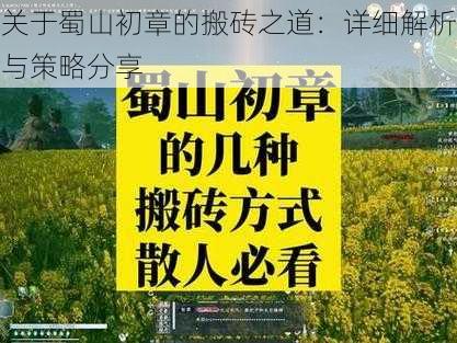 关于蜀山初章的搬砖之道：详细解析与策略分享