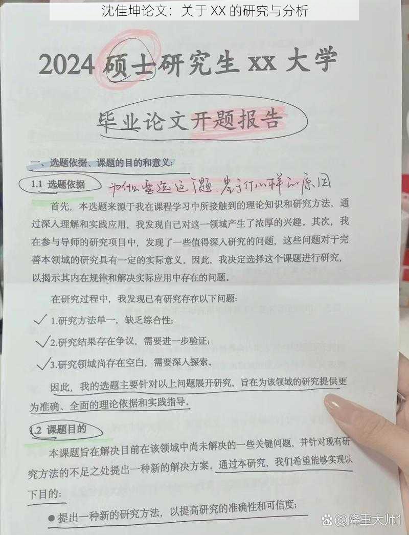 沈佳坤论文：关于 XX 的研究与分析