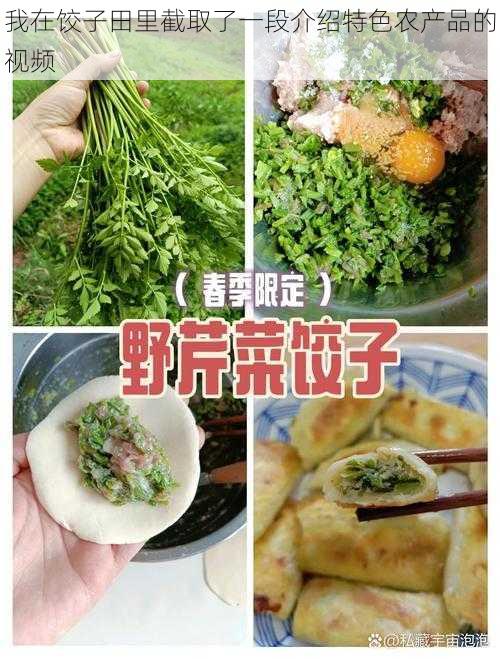 我在饺子田里截取了一段介绍特色农产品的视频