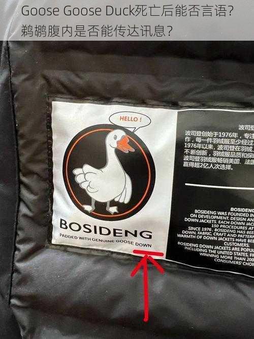 Goose Goose Duck死亡后能否言语？鹈鹕腹内是否能传达讯息？