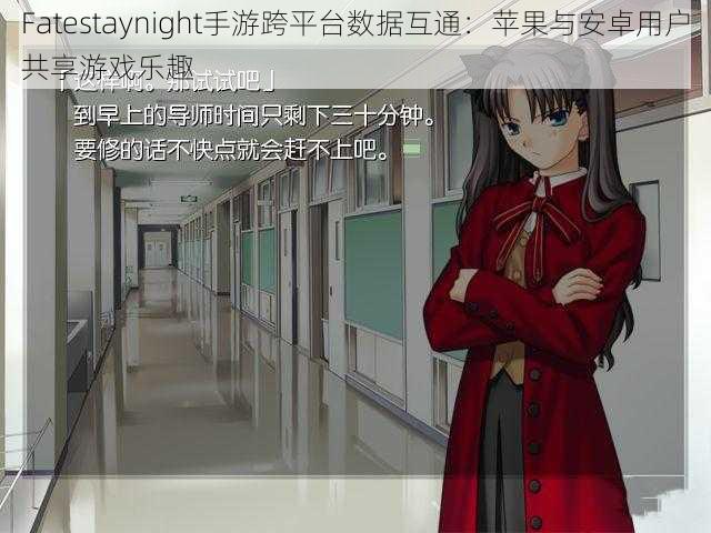 Fatestaynight手游跨平台数据互通：苹果与安卓用户共享游戏乐趣